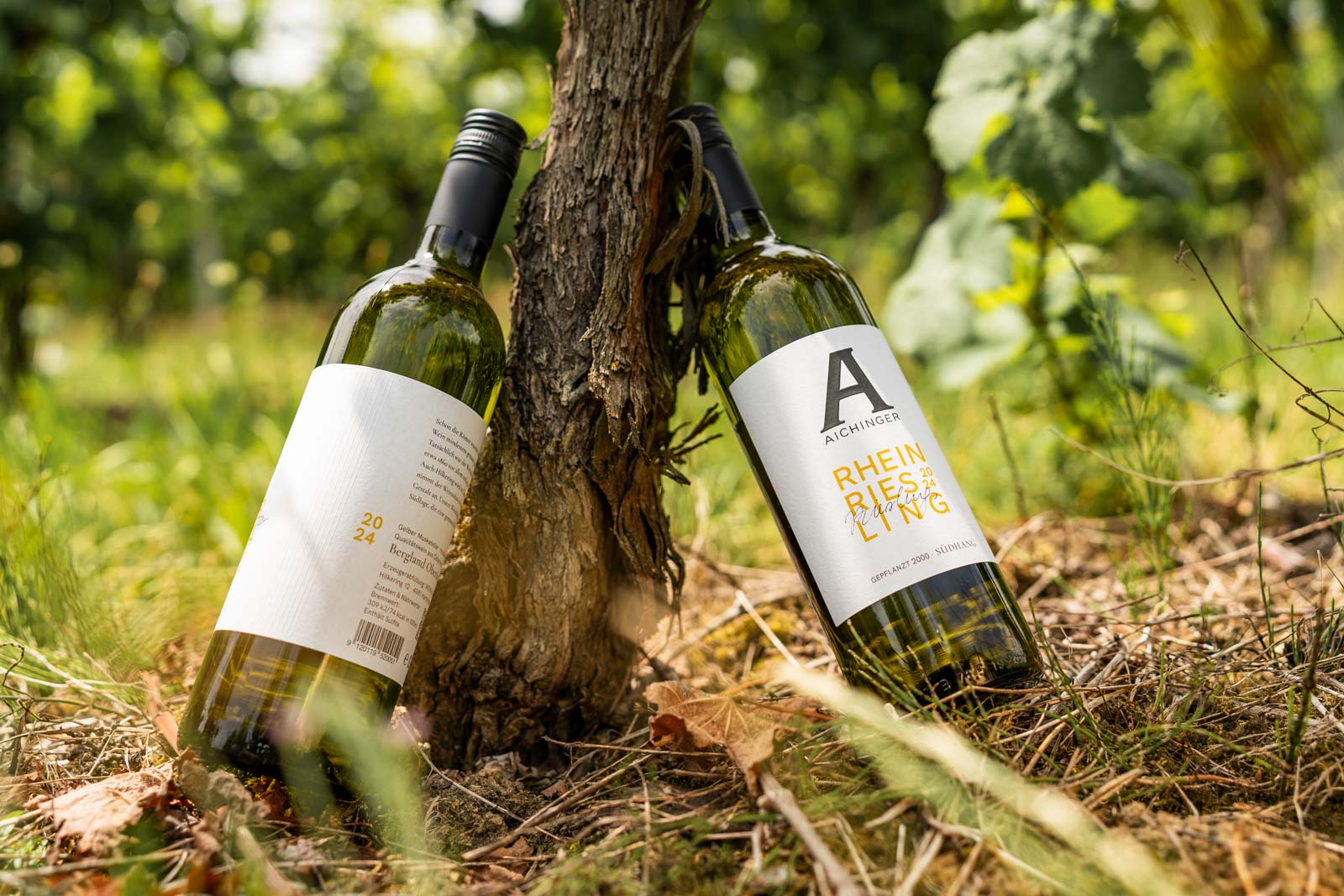 Weinetiketten Wein & Obst Aichinger, Jg. 2024
