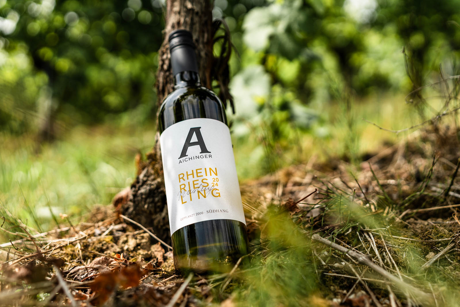 Weinflasche lehnt an Rebe, die Vorderseite des vorwiegend typografischen Etiketts ist sichtbar und zeigt "Rhein-Riesling"