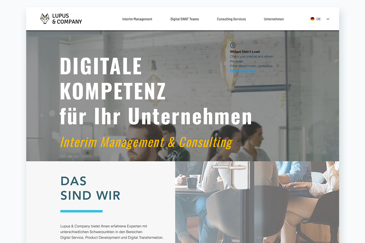 die alte Webseite von LUPUS & COMPANY